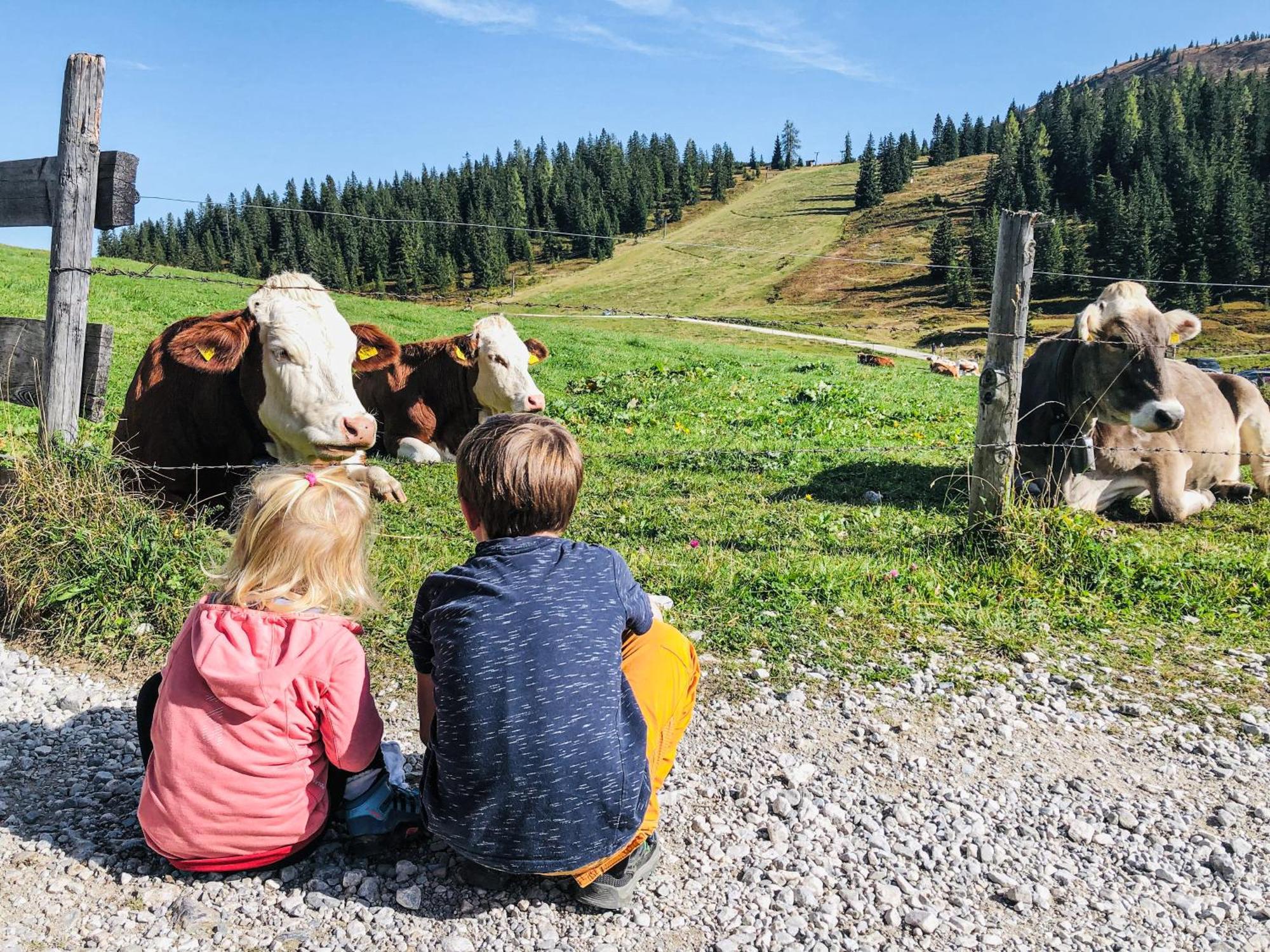 Hotel-Restaurant Bike&Snow Lederer Mühlbach am Hochkönig المظهر الخارجي الصورة