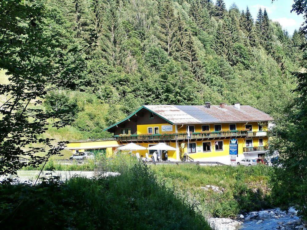 Hotel-Restaurant Bike&Snow Lederer Mühlbach am Hochkönig المظهر الخارجي الصورة